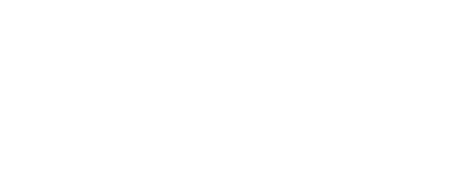 PlattarLogo